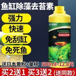 時(shí)光小舍 一方花木，妝點(diǎn)生活的小確幸