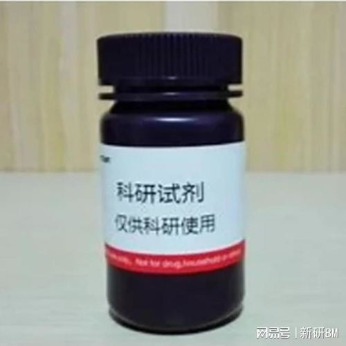 Biotin-PEG10000-NH? 含有生物素和氨基的線性異雙功能PEG在非臨床診斷用生物試劑研發(fā)中的應(yīng)用